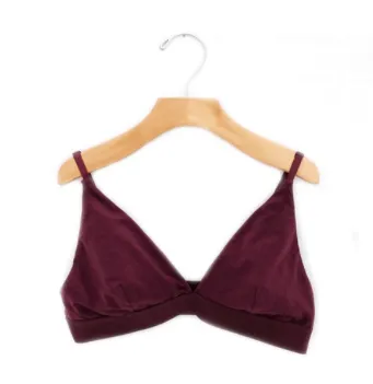 The Minimalist Triangle Bralette