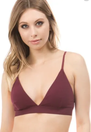 The Minimalist Triangle Bralette