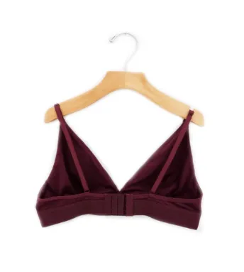 The Minimalist Triangle Bralette